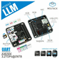M5Stack LLM モジュール 【スイッチサイエンス取寄品】